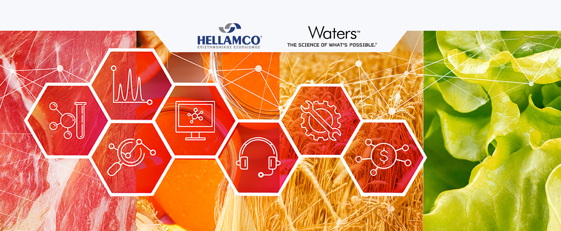 Banner for Elevate Your Food Testing Workflows Webinar